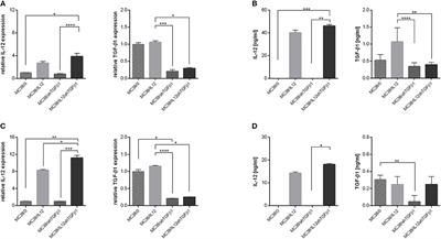 Antitumor Potential of Extracellular Vesicles Released by Genetically Modified Murine Colon Carcinoma Cells With Overexpression of Interleukin-12 and shRNA for TGF-β1